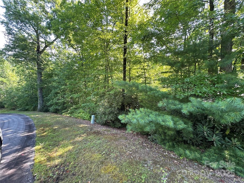 67 Peppervine Cir, Rosman, NC 28772