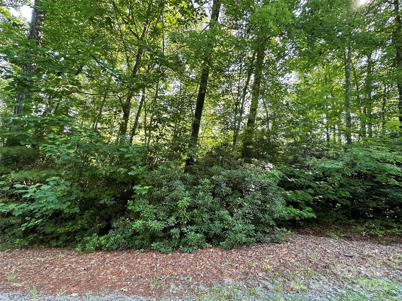 67 Peppervine Cir, Rosman, NC 28772