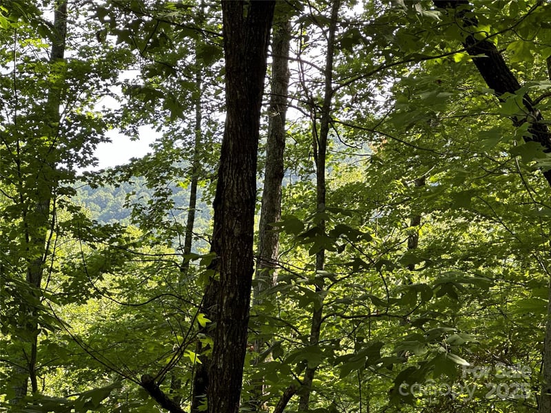 67 Peppervine Cir, Rosman, NC 28772