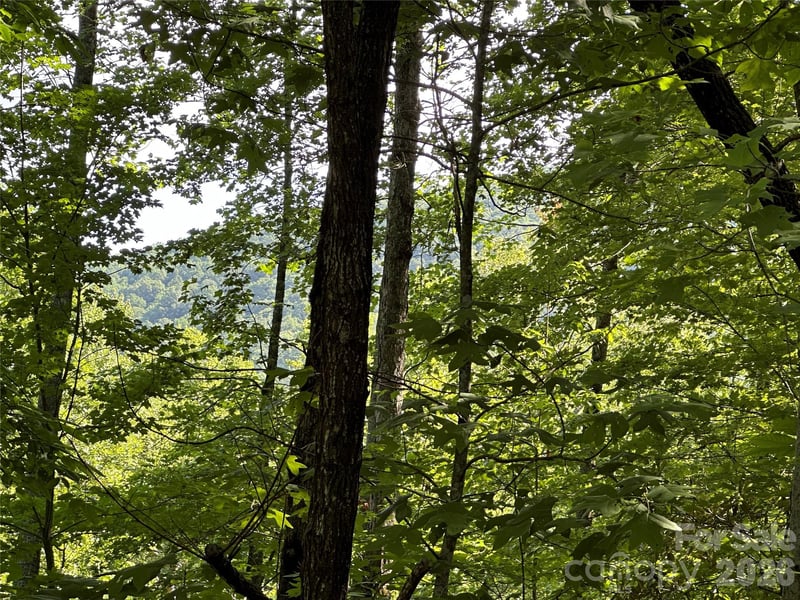 67 Peppervine Cir, Rosman, NC 28772