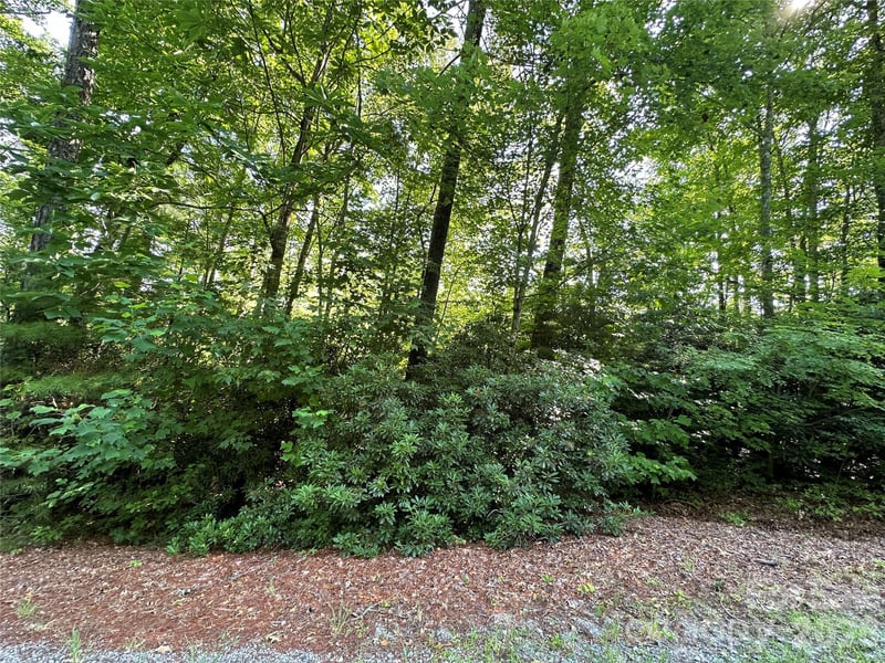 67 Peppervine Cir, Rosman, NC 28772