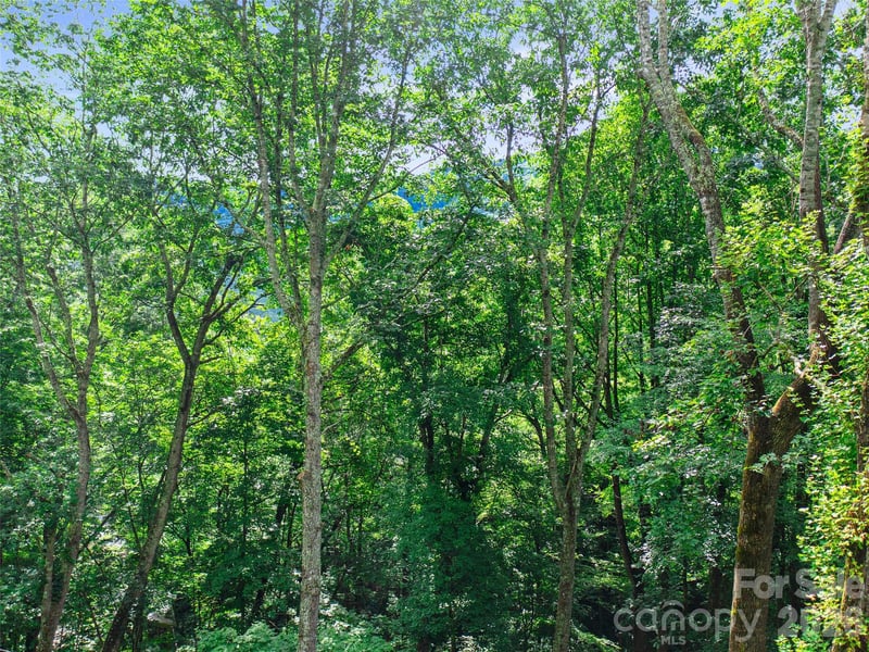 000 Falling Water Dr, Burnsville, NC 28714