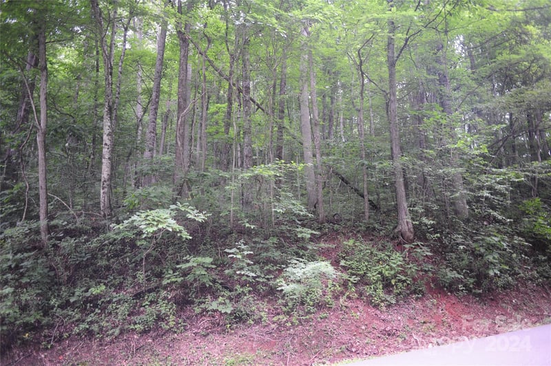 54 Great Aspen Way #701, Black Mountain, NC 28711