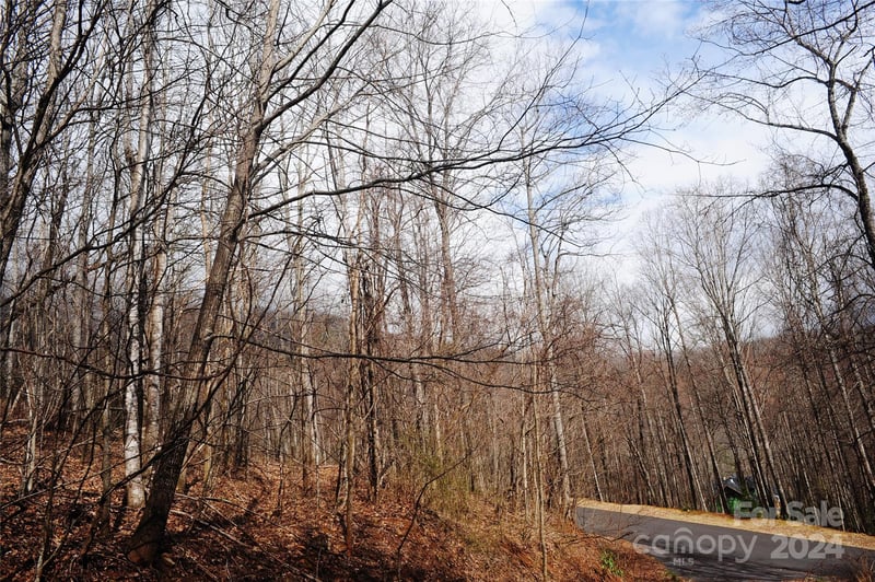 54 Great Aspen Way #701, Black Mountain, NC 28711