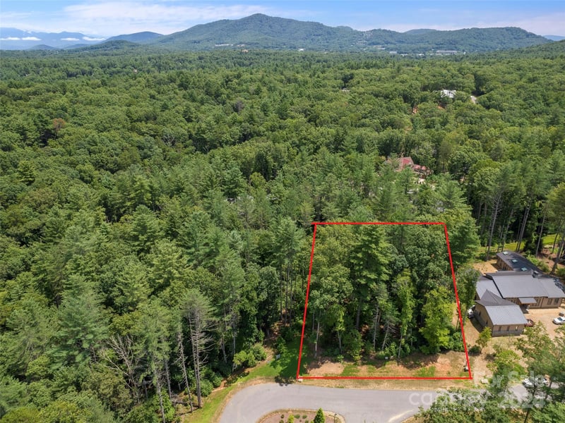 323 Flowering Vine Ct #617, Asheville, NC 28803