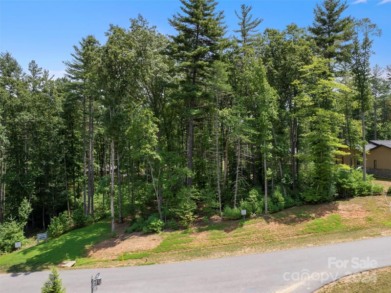 323 Flowering Vine Ct #617, Asheville, NC 28803