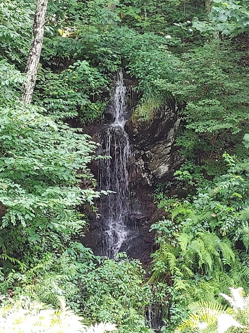 243 Starling Ps, Asheville, NC 28804