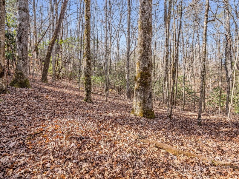 TBD Adayahi Ct #14/25, Brevard, NC 28712