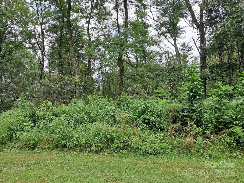 00 Hurricane Ridge Tc #53, Clyde, NC 28721