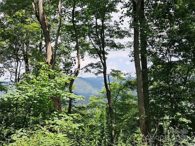 00 Hurricane Ridge Tc #53, Clyde, NC 28721