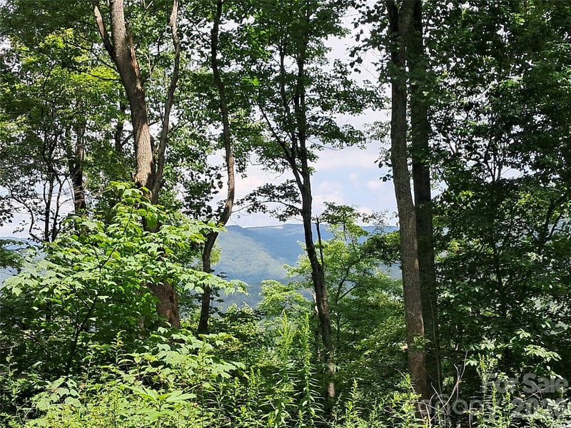 00 Hurricane Ridge Tc #53, Clyde, NC 28721