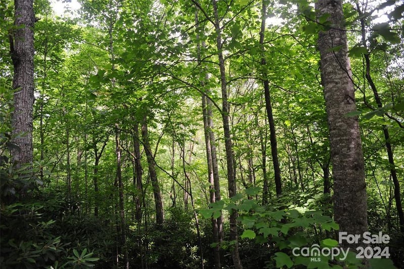 17 Wood Haven Ln #111, Black Mountain, NC 28711