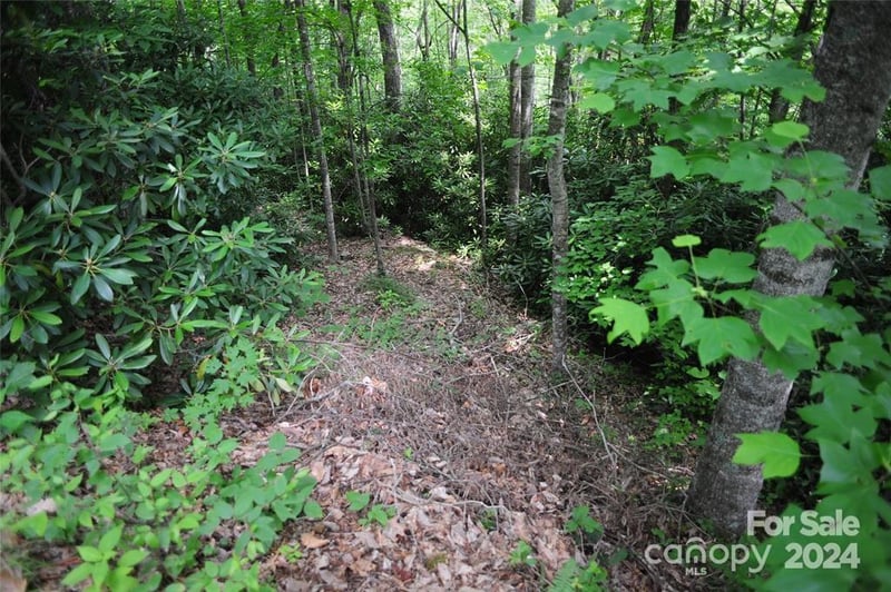 17 Wood Haven Ln #111, Black Mountain, NC 28711