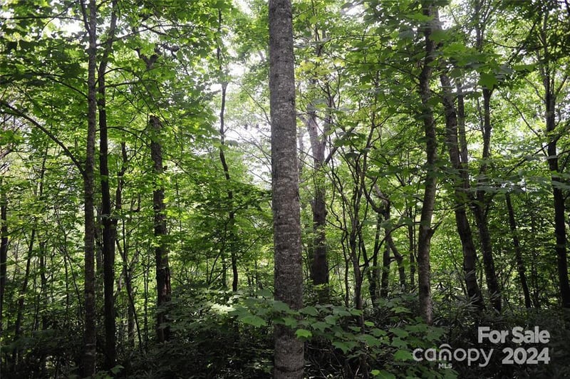 17 Wood Haven Ln #111, Black Mountain, NC 28711