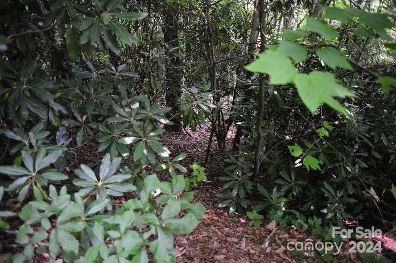 17 Wood Haven Ln #111, Black Mountain, NC 28711