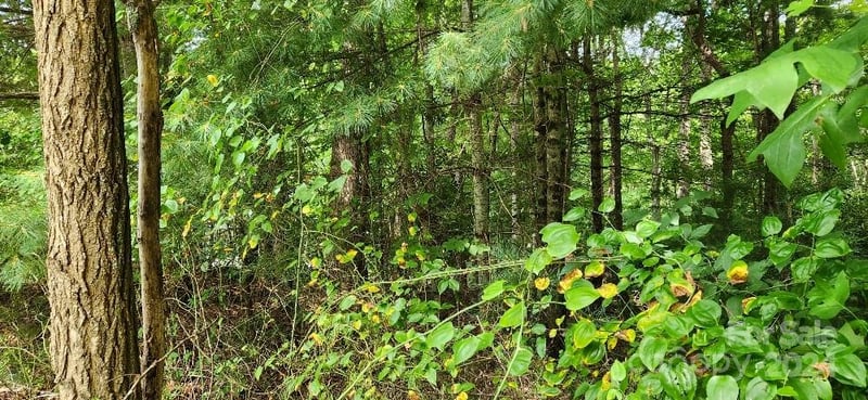 00000 Barebridge Dr #9, Burnsville, NC 28714