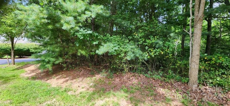 00000 Barebridge Dr #9, Burnsville, NC 28714