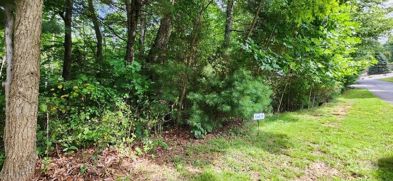 00000 Barebridge Dr #9, Burnsville, NC 28714