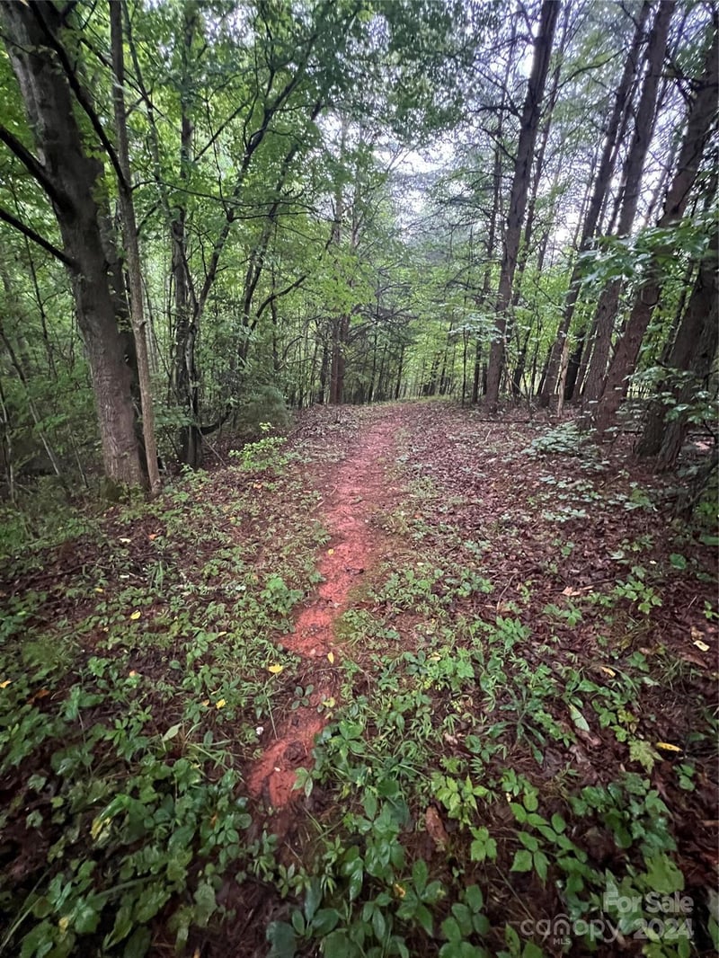 000 Easy St #18, Lake Lure, NC 28746