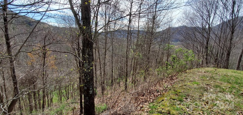 9999 Sunset Falls Dr, Clyde, NC 28716