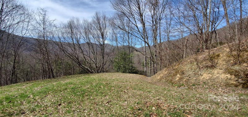 9999 Sunset Falls Dr, Clyde, NC 28716