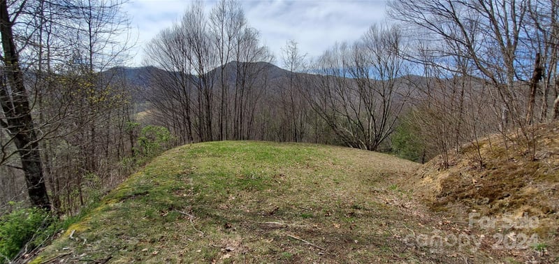 9999 Sunset Falls Dr, Clyde, NC 28716