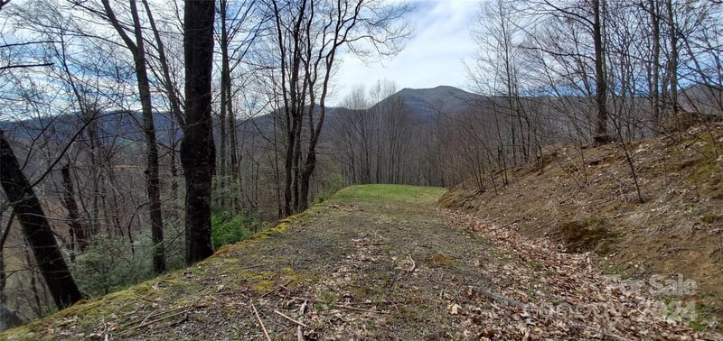 9999 Sunset Falls Dr, Clyde, NC 28716