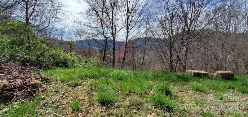 9999 Sunset Falls Dr, Clyde, NC 28716