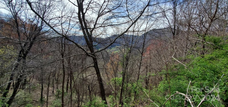 9999 Sunset Falls Dr, Clyde, NC 28716