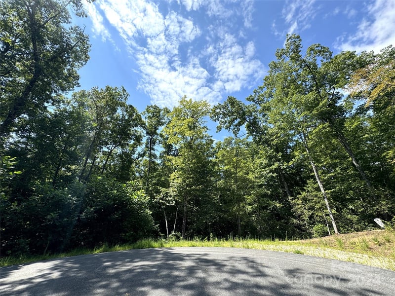 63 Cherry Cove Ln #3, Old Fort, NC 28762