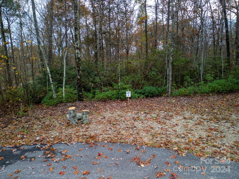 63 Cherry Cove Ln #3, Old Fort, NC 28762