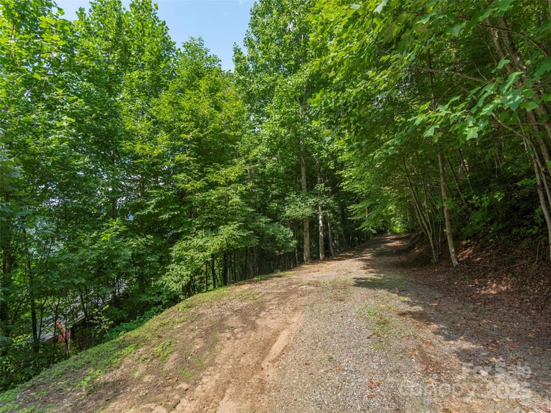 00 Pitch Fork Cv #525, Waynesville, NC 28785
