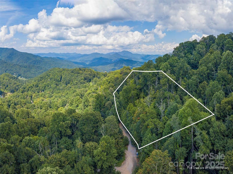 00 Pitch Fork Cv #525, Waynesville, NC 28785