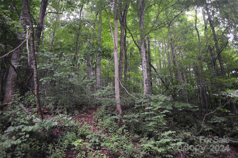 132 Ironwood Ln #C17/C18, Black Mountain, NC 28711