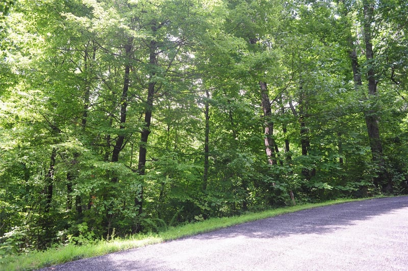 132 Ironwood Ln #C17/C18, Black Mountain, NC 28711