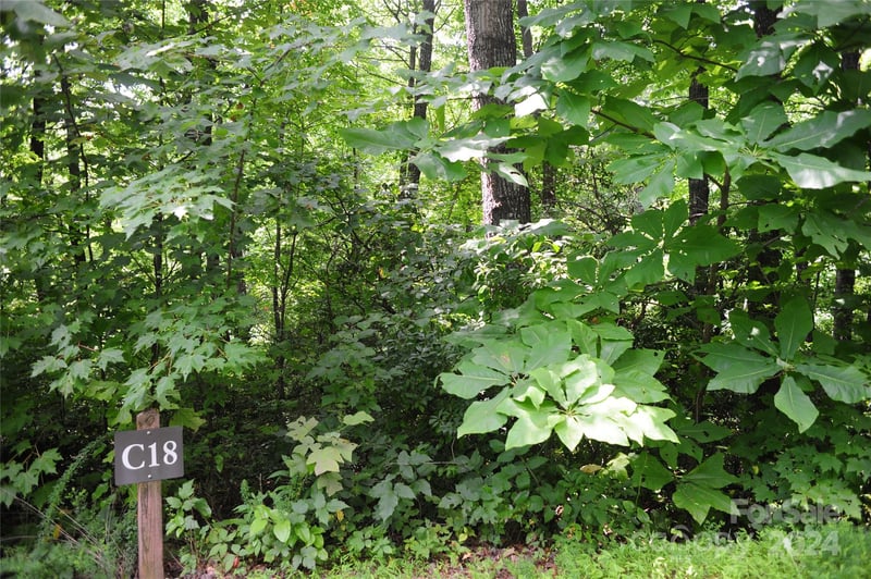 132 Ironwood Ln #C17/C18, Black Mountain, NC 28711