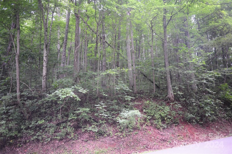 132 Ironwood Ln #C17/C18, Black Mountain, NC 28711