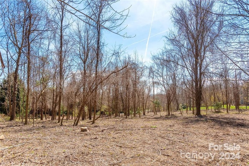 000 Berry Creek Dr, Flat Rock, NC 28731
