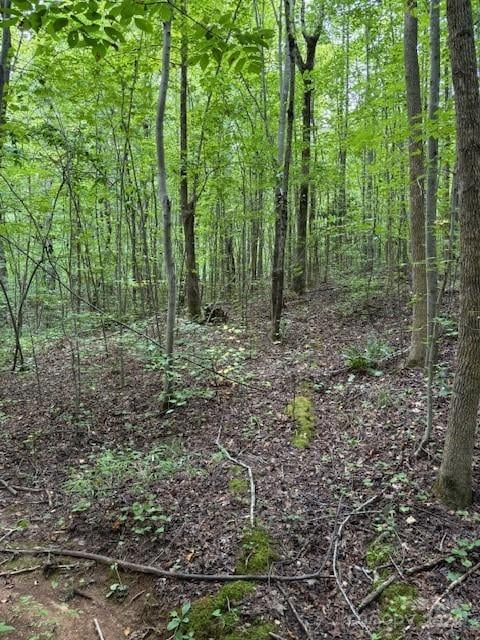 00 Timber Rd, Iron Station, NC 28080