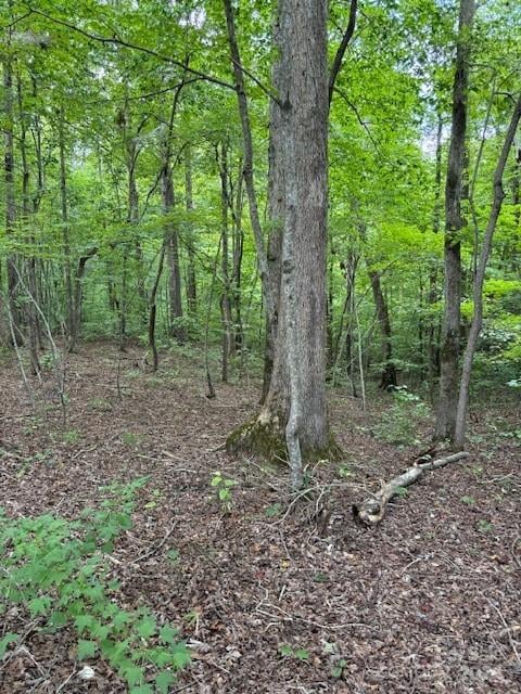 00 Timber Rd, Iron Station, NC 28080