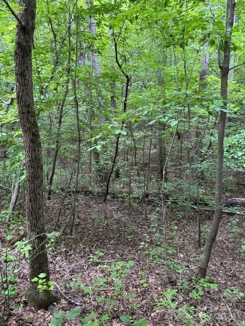 00 Timber Rd, Iron Station, NC 28080