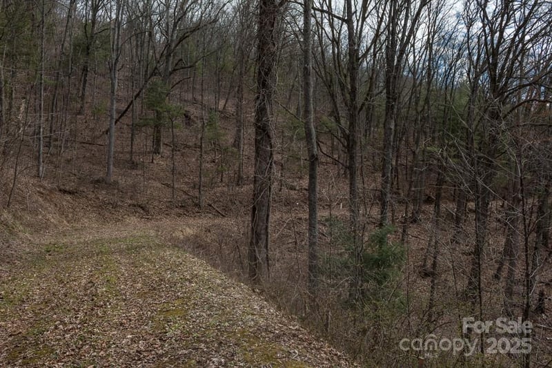 999 Falconwood Ln #20 and 21, Asheville, NC 28804