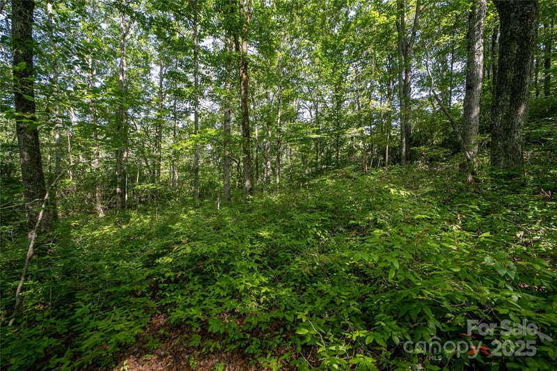 Lot 8 Sweetwater Ridge Rd #8, Balsam Grove, NC 28708
