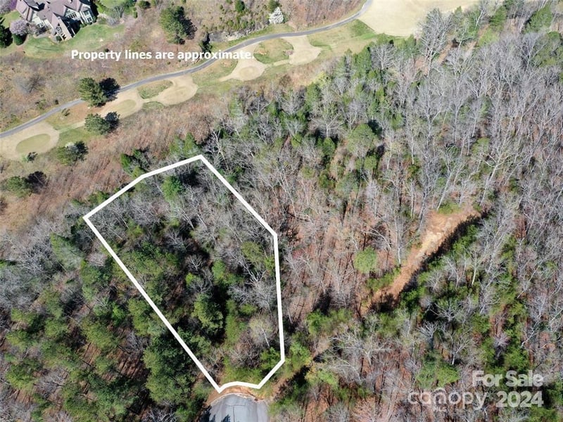 25 Monteith Pl, Mill Spring, NC 28756