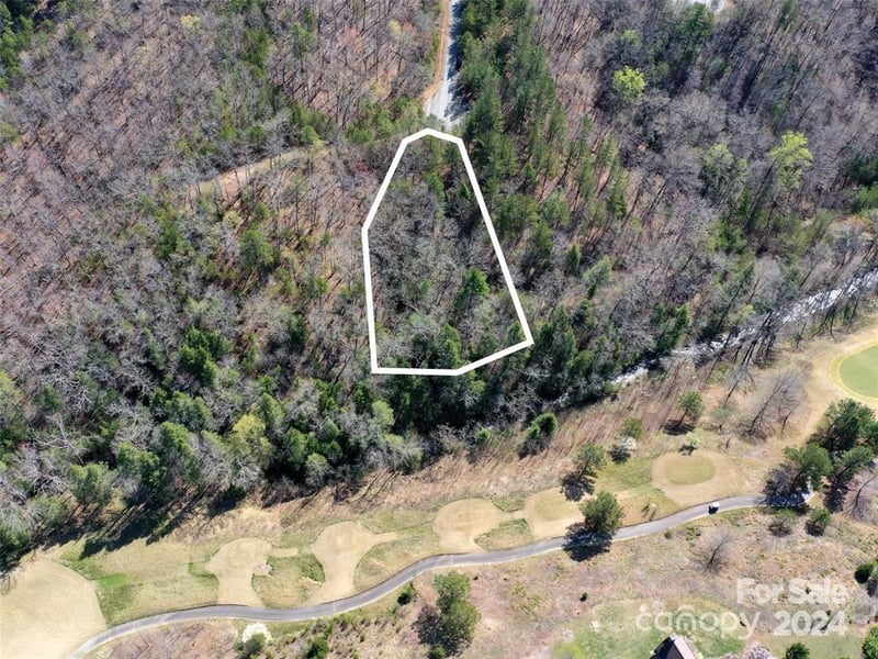 25 Monteith Pl, Mill Spring, NC 28756