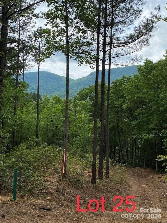 25 Monteith Pl, Mill Spring, NC 28756
