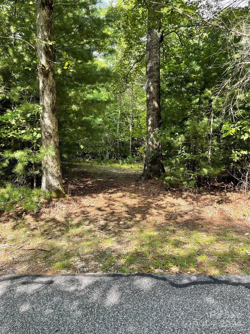 Oleta Mill Trl, Dana, NC 28792