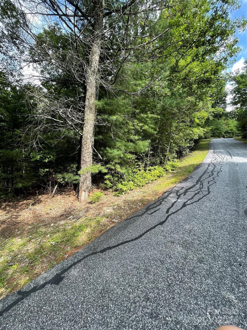 Oleta Mill Trl, Dana, NC 28792
