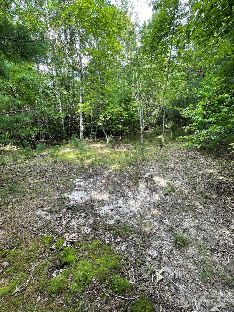 Oleta Mill Trl, Dana, NC 28792