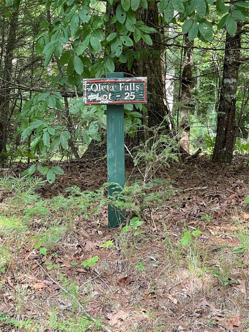 Oleta Mill Trl, Dana, NC 28792